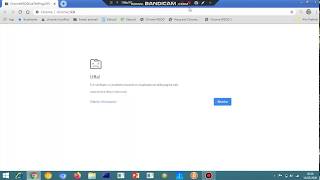 Bsodhubandchormewsod Fanpro Has Chrome Wsod