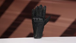 Five Kansas Gloves Review