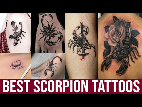 Top 40 Best Scorpion Tattoos