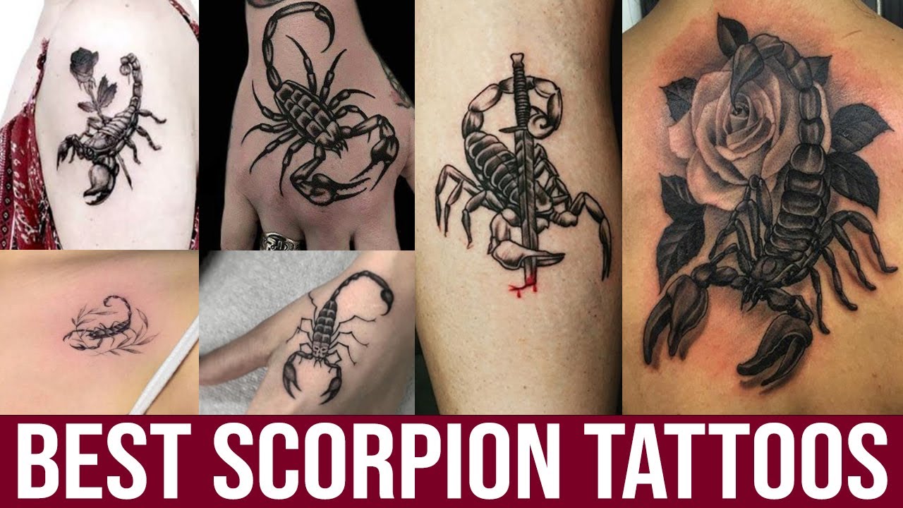 1300 Scorpion Tattoo Stock Photos Pictures  RoyaltyFree Images   iStock  Virgin Scorpions Crab