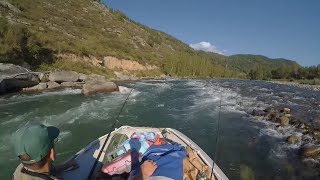 Горная река Чарыш. Вверх на ЛОДКЕ