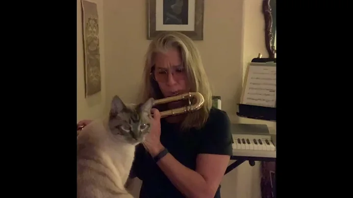 Landslide by Stevie Nicks, Alto flute by Jennifer ...