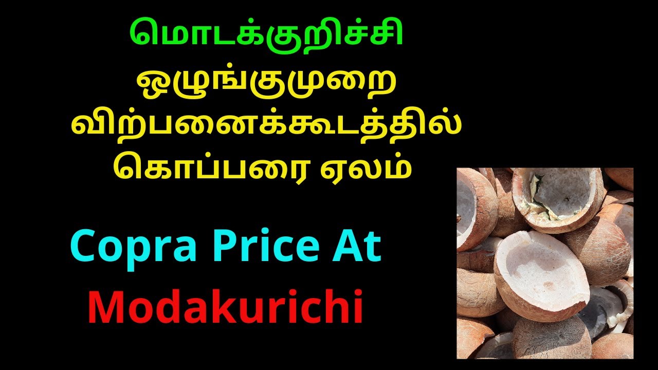 Modakurichi மொடக்குறிச்சி டெண்டர் கொப்பரை ஏலம் | Copra Auction At Modakurichi ...