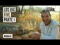 Wild Frank ve de muy cerca a los “Big Five”, los animales más impresionantes de África | Wild Frank