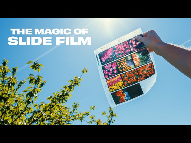 Slide Film is Simply Incredible class=