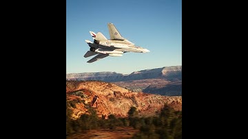 Tomcat Vibes - Heatblur/IFE F-14 Tomcat for Microsoft Flight Simulator