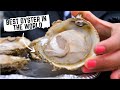 WORLD'S RAREST OYSTER! Journey of the BLUFF OYSTER from ocean floor to plate | New Zealand Food Tour