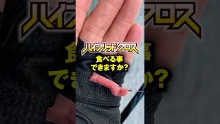🪱ハイブリッドクロス🪱食べる事はできますか？ #shorts #short