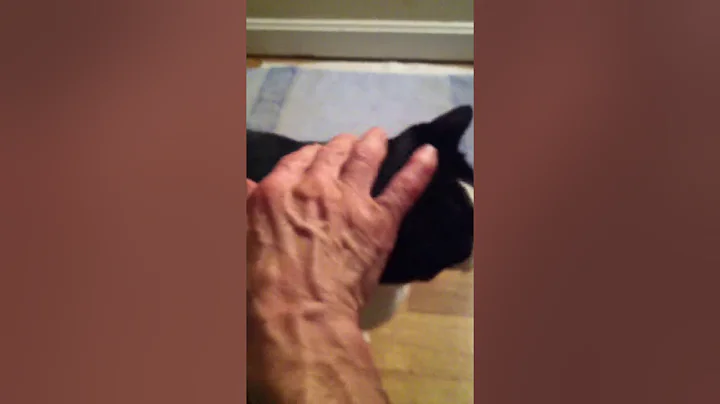 Video of adoptable pet named Leo