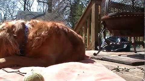 transitional object playing in the sun