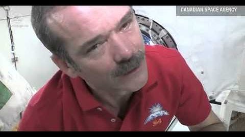 What happens if you cry in space