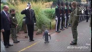 Sir Nils Olav promoted to Brigadier by Norwegian King's Guard