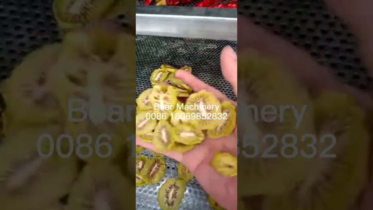 Fruit drying machine