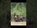 Inside Ukraine’s Elite Air Assault Training: Mortar Firepower Up Close #shorts  #military