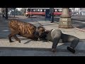 【GTA5】犬になって女の人のお○ぱいに噛み付いてみた！