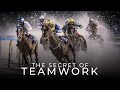 The secret of teamwork   best teamwork motivational