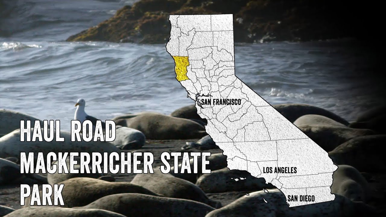 Haul Road MacKerricher State Park