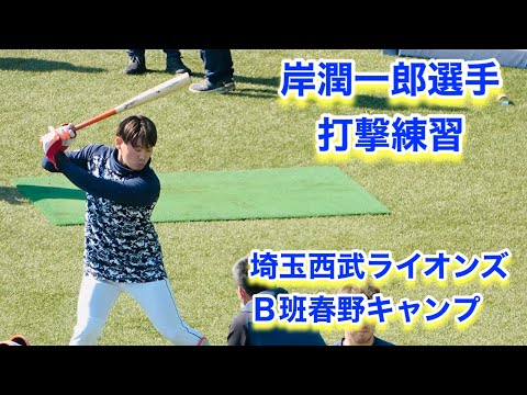 岸潤一郎選手の打撃練習【2023年埼玉西武ライオンズ春野キャンプ】