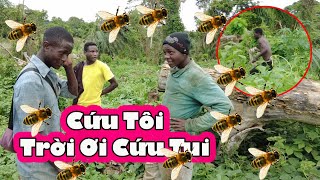 THừa thắng xông lên Team 2Q đi bắt ong và cái kết||2Q Vlogs Cuộc Sống Châu Phi