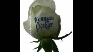 Konusan Cicekler Özel Baskılı Çiçekler