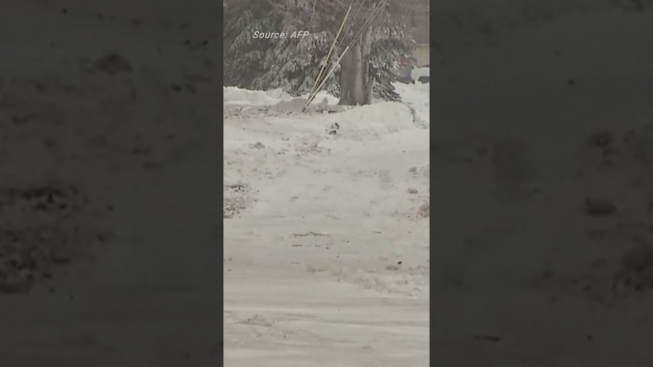 Buffalo Buried Under Snow Amid Deadly US Winter Blizzard