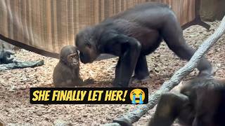 Gladys Finally Lets Mona Touch Her Baby 😭 (Huge Milestone)