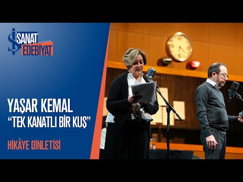 Video: Barnacle kaz, Kırmızı Kitap'tan bir kuştur