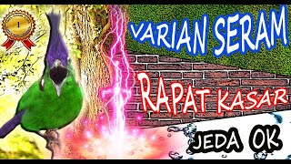 Masteran Idola - Burung Idola - Masteran Idola Juri