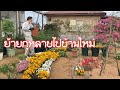 ย้ายกุหลาบ100ต้นไปบ้านใหม่ พ่อแว่นถึงกับร้อง😱