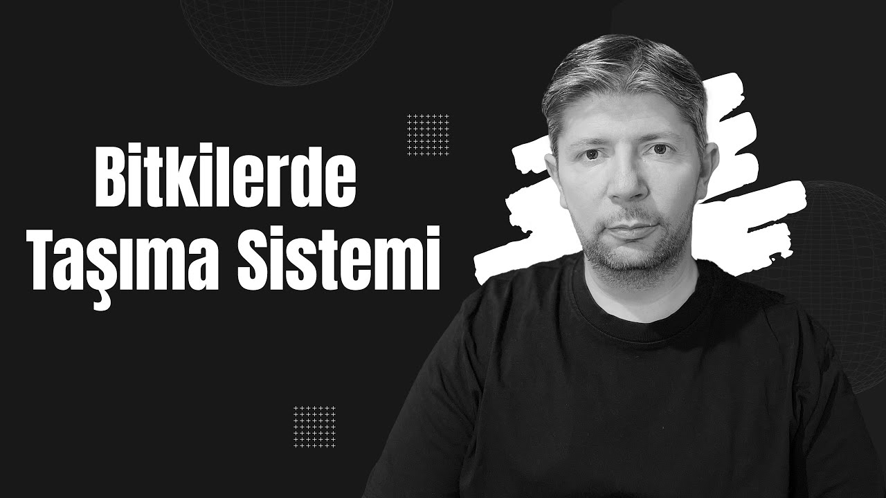 Bitkilerde Taşıma Sistemi, Bitki Biyolojisi #biyoloji #bitkibiyolojisi #aytbiyoloji #stoma