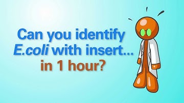 Takara Clonetech SapphireAmp® Fast PCR Master Mix: Identify E. coli colonies in 60 min.