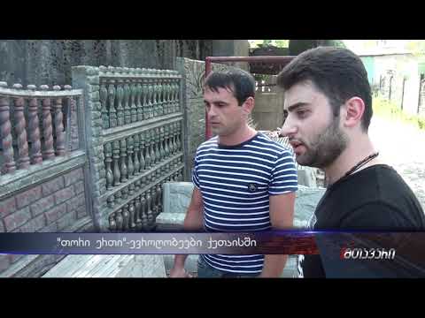 \"თორი ერთი\"-კომპანია ქუთაისში რომელიც მომხმარებლებს ევროღობეებს თავაზობს