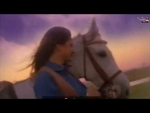 اعلان يا رايح دريم لاند