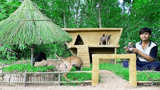 Rescue Abandoned Puppies and Build castle Dog House from Mud as a shelter for them