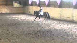 MSV B:4 59.13% 20140607