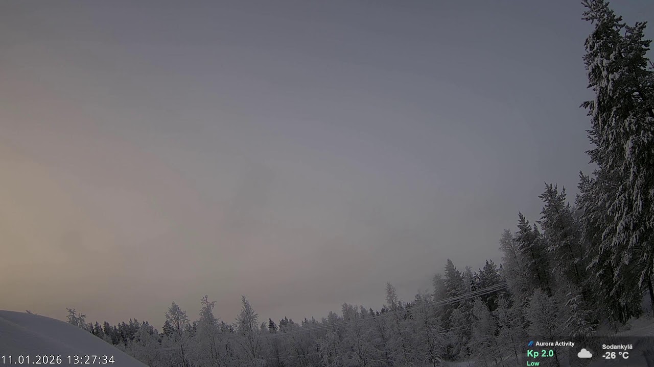 Northern Lights Live | Aurora Borealis from Finnish Lapland