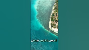 سورة التوبة و،.كا.؛نك تسمعها لأ،،و.ل مر.ة❤️🌻؛،🌺💛؛،💜💮💔بصوت الشيخ حمزة مدبو.ح 🌸💕،؛💝..🌹❤️؛💓،.💕💗