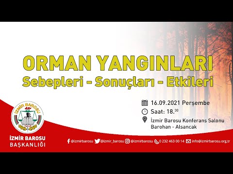 Video: Orman yangınları: nedenleri, türleri ve sonuçları