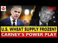 WHEAT CRISIS: Carney Turns Trump’s Pressure Into America’s Supply Shock