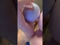 ASMR tingly egg tapping 🐣 #asmr #triggersforsleep #asmrvideo #asmrtapping #relax #sleep