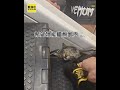 奶貓受困跑步機！3壯漢秒拿工具救援結局暖心