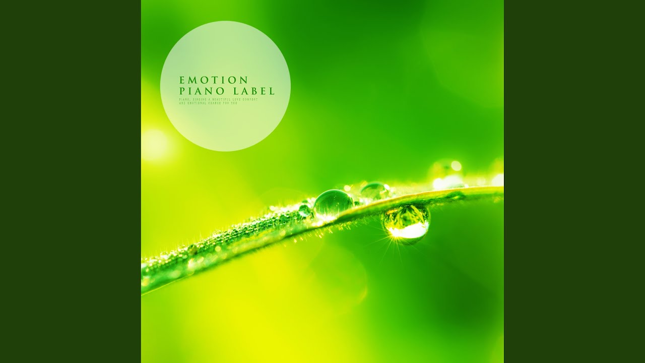 Finding A Free Dream (Nature Ver.)