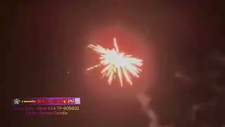 Mule Kick 5 Shot - TP-905001 - Texas Pyro