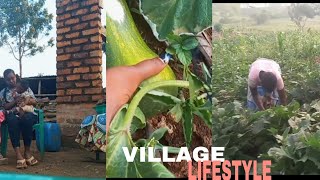 A DAY IN A LIFE AS AN AFRICAN VILLAGE GIRL'S IN TANZANIA |A VILLAGE LIFE IN TZ 🇹🇿 #trending #africa