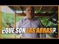 ¿Que son las Arras al Invertir en Bienes Raíces?