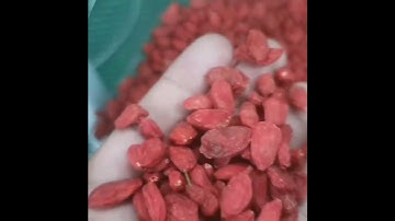 Small Color Sorter for Seeds Sorting