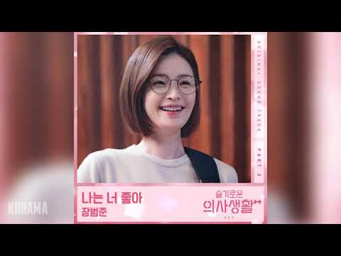 장범준(Jang Beom June) - 나는 너 좋아 (I Like You) (슬기로운 의사생활 시즌2 OST) Hospital Playlist 2 OST Part 3