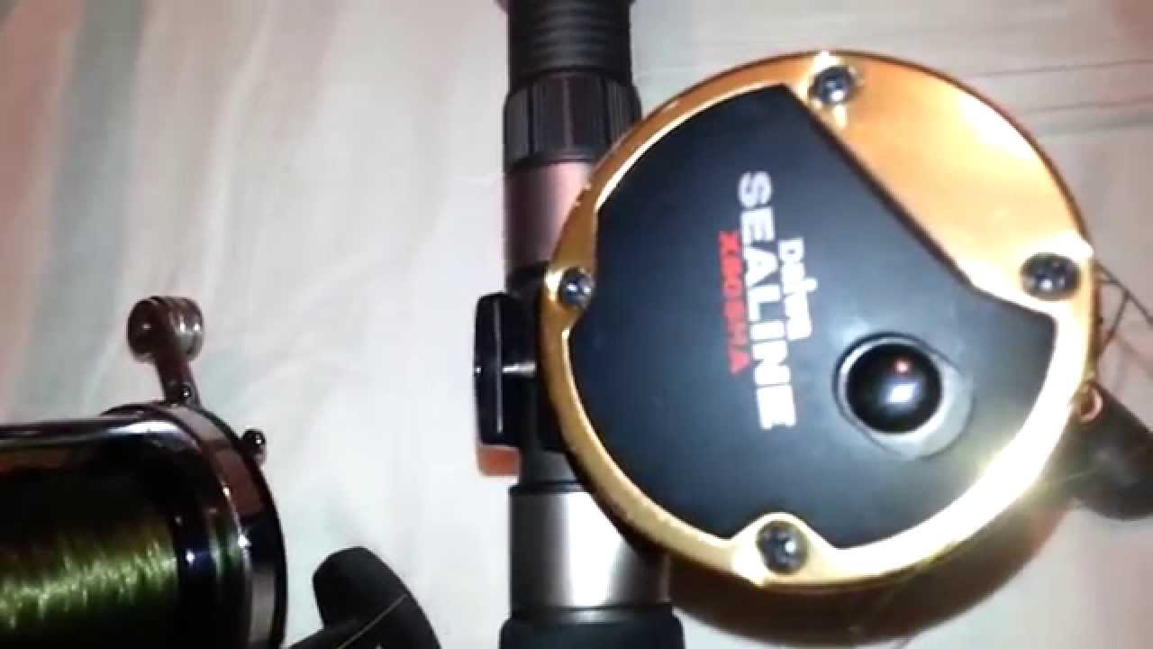Best Reels for Surf Fishing YouTube