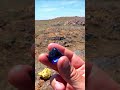 What type of stone is this that I found? Is it valuable or worthless?