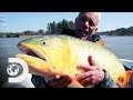 Fishing For A Ferocious Golden Dorado In Argentina's "River Of Blood" | River Monsters